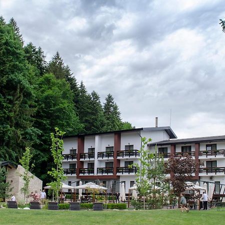 Piatra Pinului Ski & Spa 구라후모룰루이 외부 사진