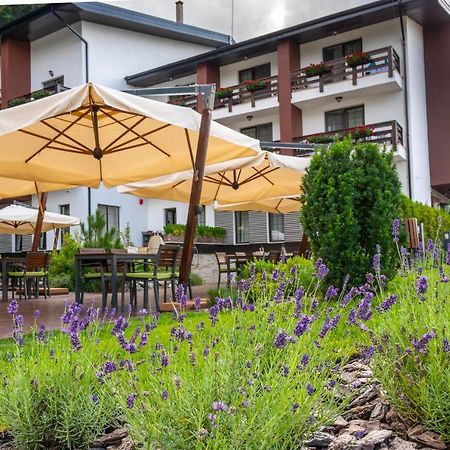 Piatra Pinului Ski & Spa 구라후모룰루이 외부 사진