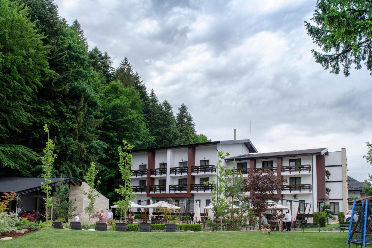 Piatra Pinului Ski & Spa 구라후모룰루이 외부 사진