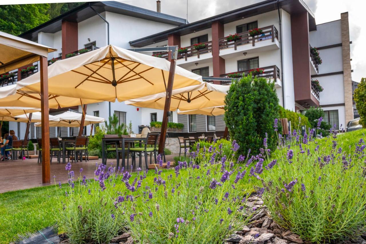 Piatra Pinului Ski & Spa 구라후모룰루이 외부 사진